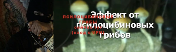 apvp Абдулино