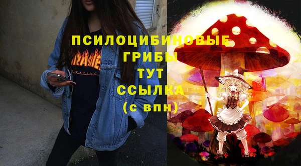 Альфа ПВП Абаза