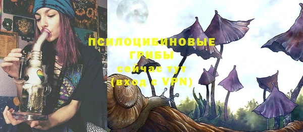 apvp Абдулино