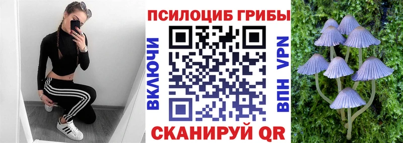 МЕГА сайт  Подпорожье  Псилоцибиновые грибы мицелий  хочу  